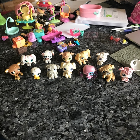 Littlest Pet Shops! - Picture 9 of 16